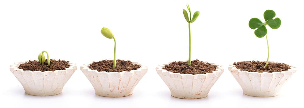 A New Website Will Help Your Business Grow